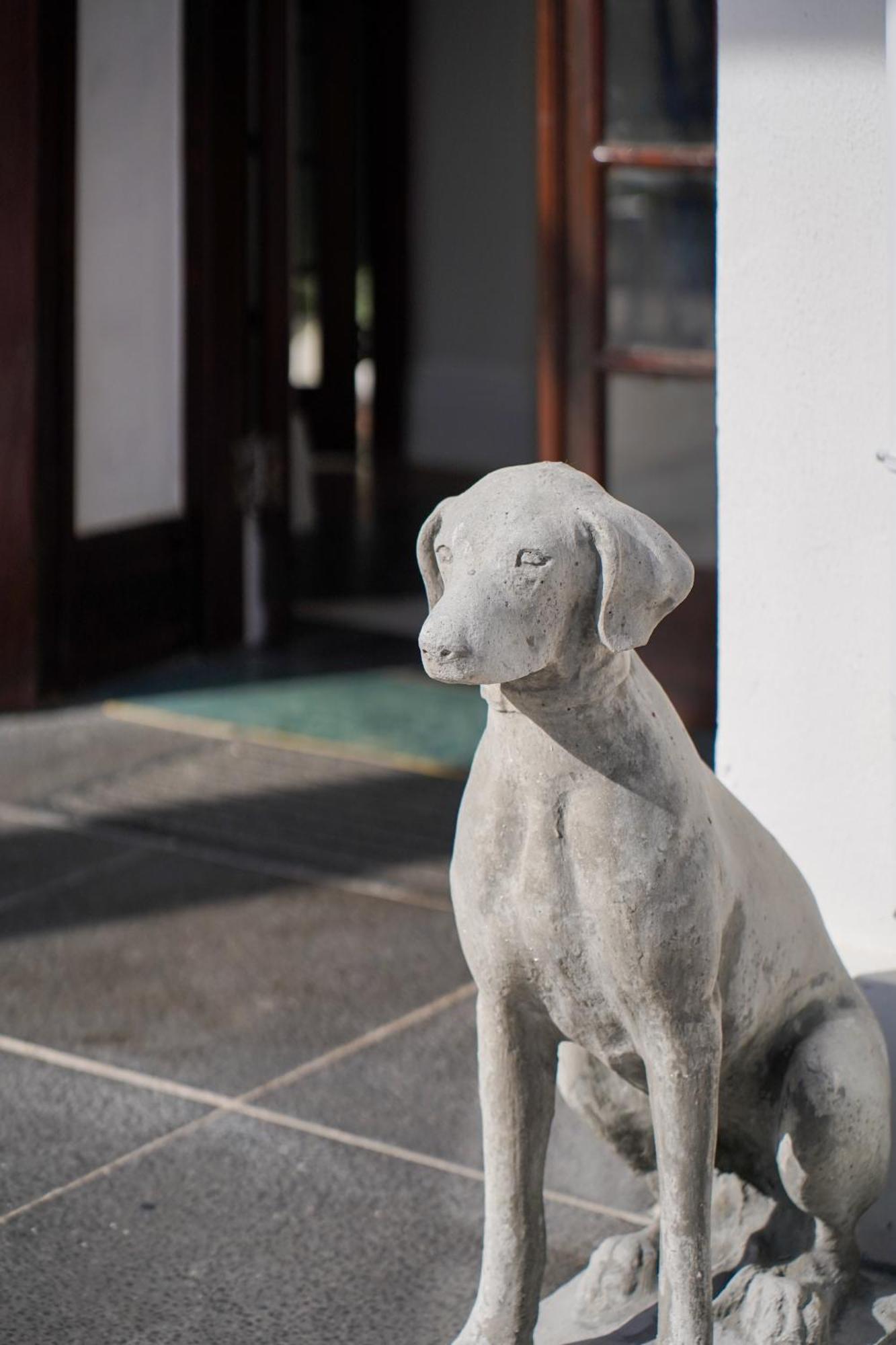 Wytham Manor House Hotel Cape Town Ngoại thất bức ảnh